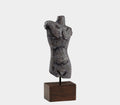 Torso