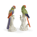 Port Royal Birds (Pr)