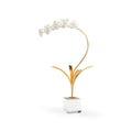 Orchid In Stand