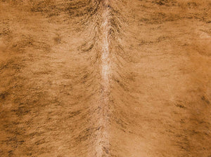 Light Exotic Brindle Hair on Hide