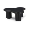 Delaney Black Oak Veneer And Solid Wood Coffee Table - CT13