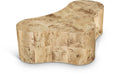 Ximena Natural Solid Wood And Burl Veneer Coffee Table - CT