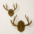 Oakdale Antler Wall Mount