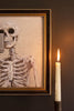 Halloween Framed "Skelfie"