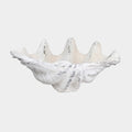 Henley Shell Sculpture