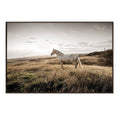Colbert Photography