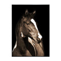 Fayette Photography