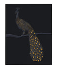 Tail Feathers