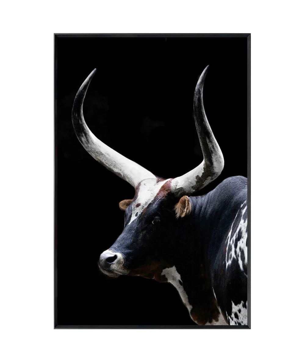 Midnight Horns