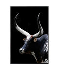 Midnight Horns