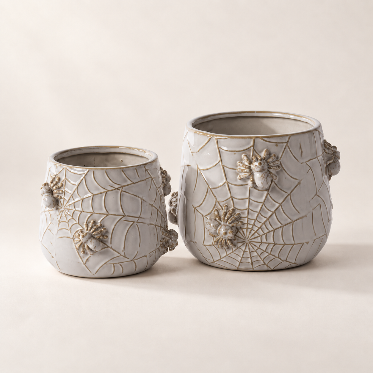 House Spider Pot