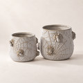 House Spider Pot