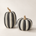 Otho Pumpkin