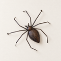 Arachnid Set of 2 Wall Spider