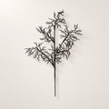 Set of 6 Black Coral Spray