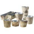 Birch Collection with Zinc