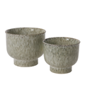 Starling Pot