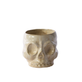 Haunting Skull Pot