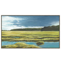 Wetland Vista