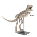 T-Rex Skeleton Fossilized Model with Base