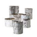 White Birch Cylinder and Bowl Set