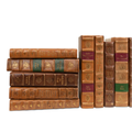 Ashbourne Gilded Decorative Book Collection – Set of 24