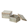 Starling Lidded Box Set