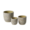 Verde Collection