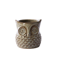 Great Grey Owl Pot Set of 2