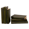 Set of 12 Shagreen Books