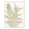 Tropical Beige III