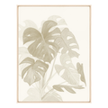 Tropical Beige II