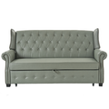 Ruedi Vegan Leather Sleeper Sofa in Sage