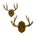 Oakdale Antler Wall Mount