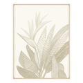 Tropical Beige I