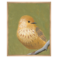 Bird Watching I