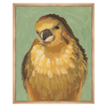 Bird Watching II