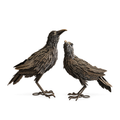 Set of 2 Black Metal Halloween Crows