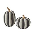 Otho Pumpkin