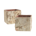 Birch Square Pots