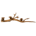 Oyster Mushroom Candleholder