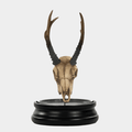 Fawn Skull with Bell Glass – Unique Home Decor Display Piece