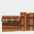 Set of 24 Faux Tan Leather Books – Antique Style Decor
