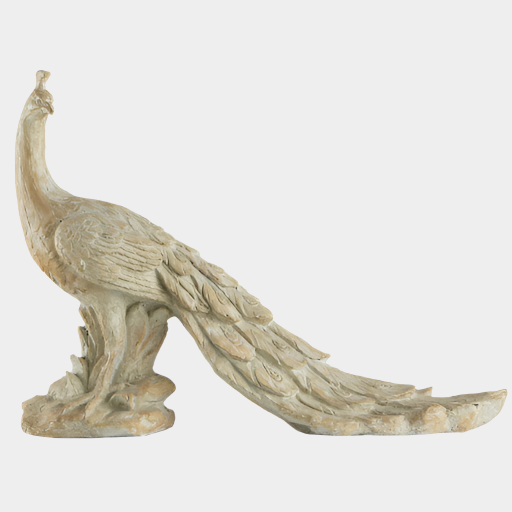 Morara Peacock