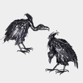 Galvanized Iron Vulture Set