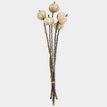 Pumpkin Pod Twig Bundle Set of 12