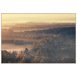 Misty Horizon