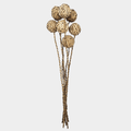 Cane Ball Twig Bundle Set of 12