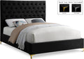 Delphinia Velvet Upholstered Queen Bed