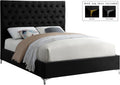 Delphinia Velvet Upholstered Queen Bed